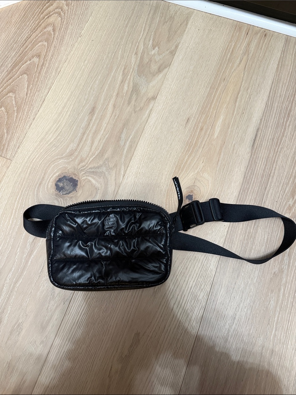 Aritzia Super Puff Bag